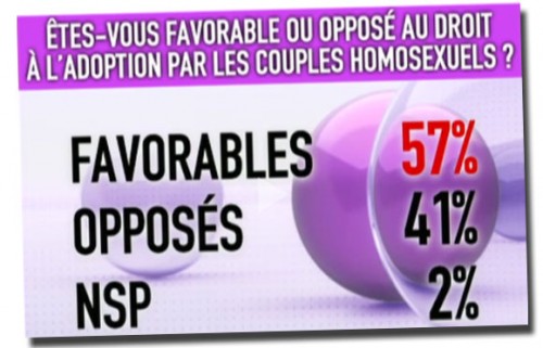 sondage-adoption-1.jpg